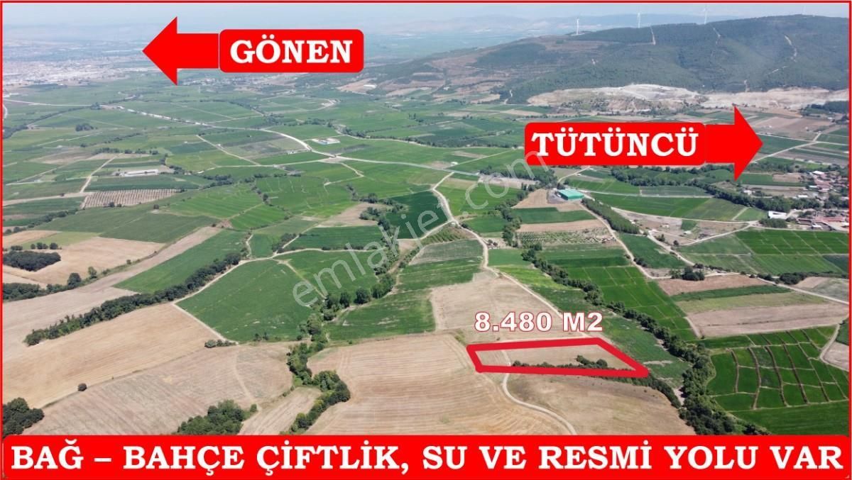 Gönen Tütüncü Satılık Tarla 8.480 m2 Çiftlik Bağ-Bahçe K.Pompaj Su Var Kadastro Yola Cepheli