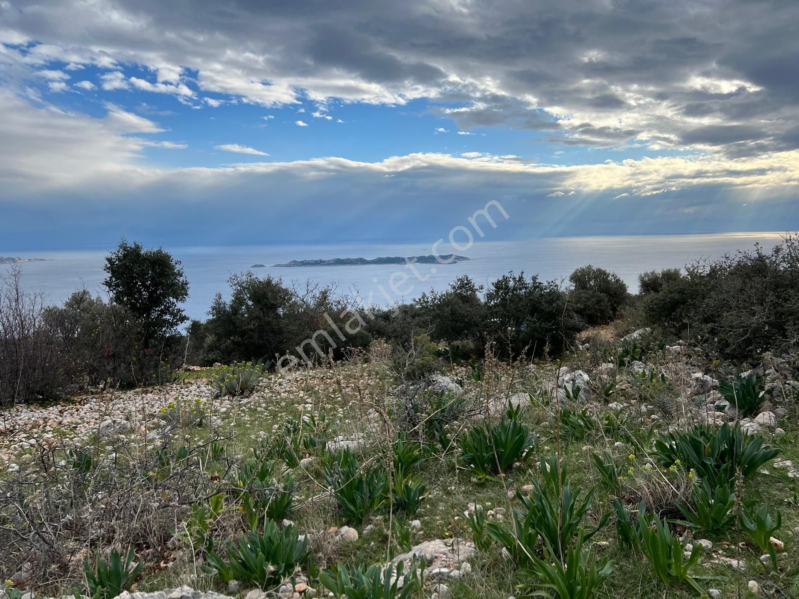 Kaş Sarıbelen Satılık Tarla Antalya Kaş Sahil Sarıbelende 5 Parsel