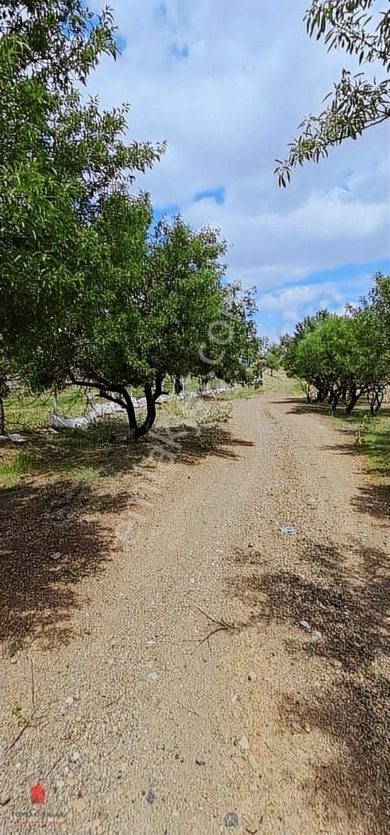 Çayırbağında Konut İmarlı Hem Bahçe Hem Yatırım 1400m2 Satılık - Görsel 11