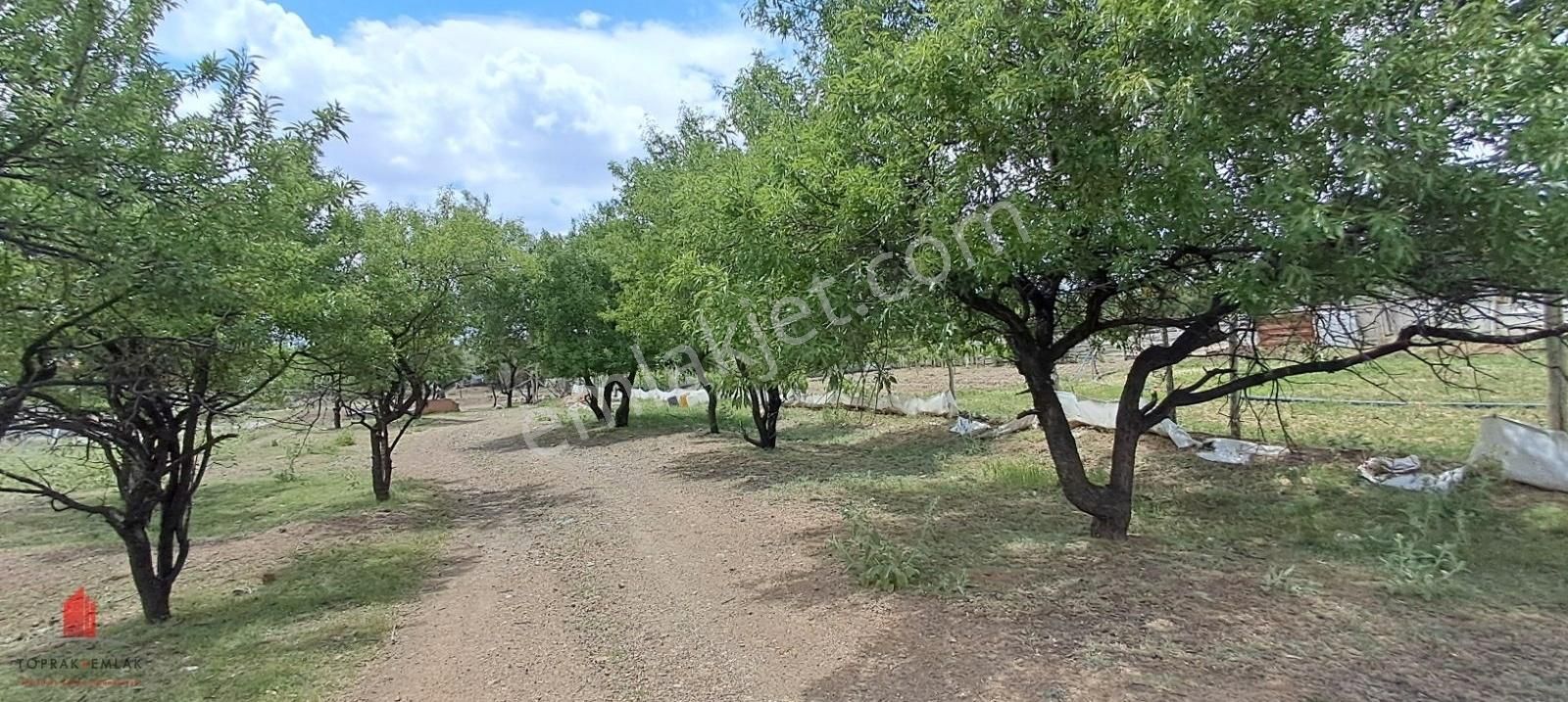 Çayırbağında Konut İmarlı Hem Bahçe Hem Yatırım 1400m2 Satılık - Görsel 2