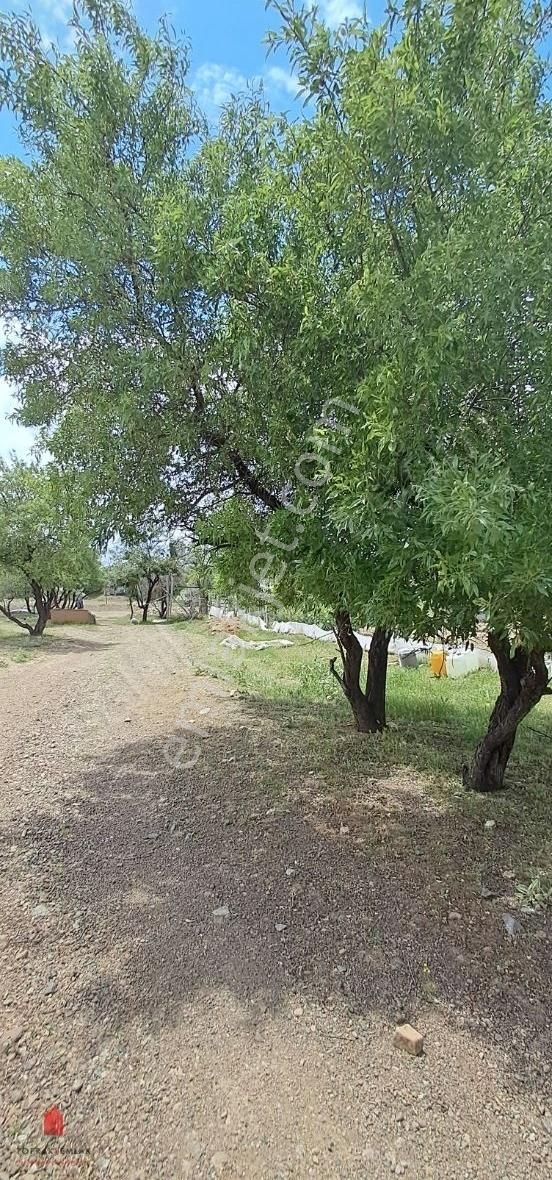 Çayırbağında Konut İmarlı Hem Bahçe Hem Yatırım 1400m2 Satılık - Görsel 3