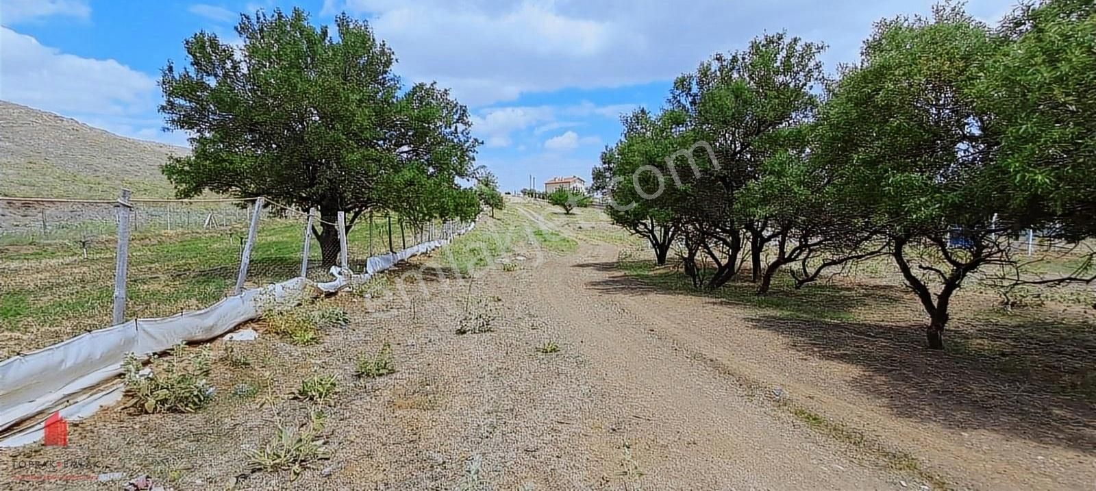 Çayırbağında Konut İmarlı Hem Bahçe Hem Yatırım 1400m2 Satılık - Görsel 9