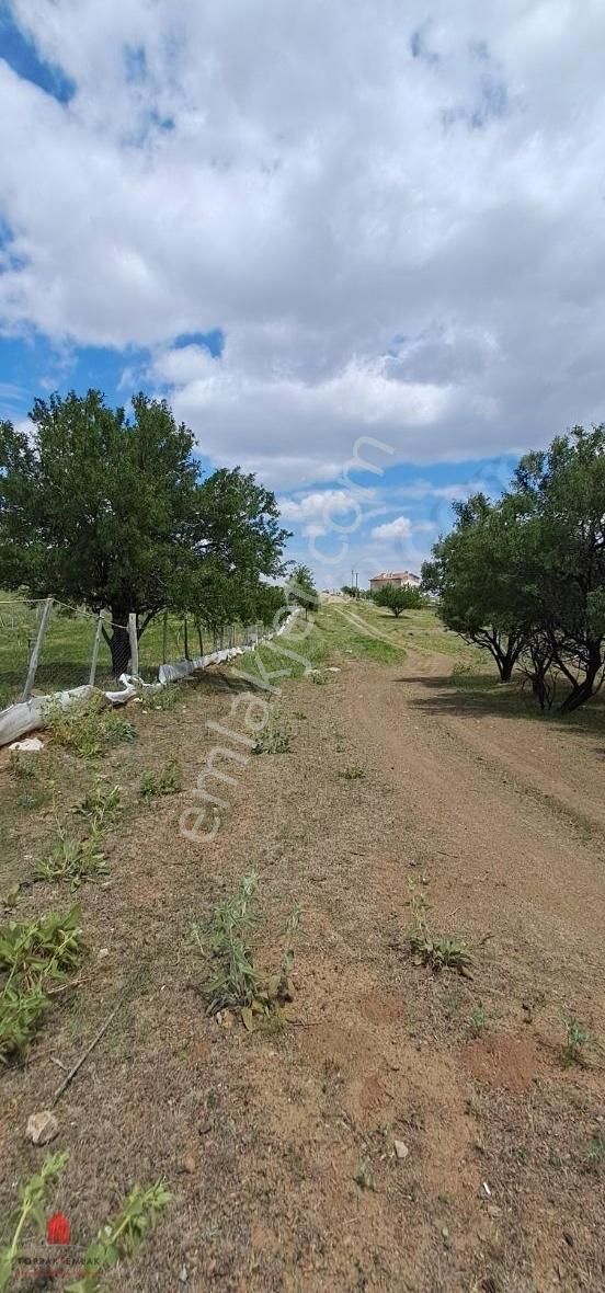 Çayırbağında Konut İmarlı Hem Bahçe Hem Yatırım 1400m2 Satılık - Görsel 4