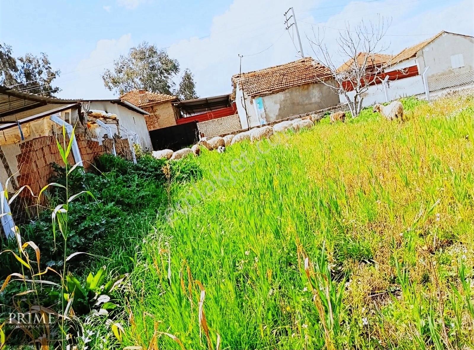 Germencik Üzümlü Satılık Konut İmarlı GERMENCİK ÜZÜMLÜ KÖYÜNDE SAKİN BİR YAŞAM İÇİN İDEAL