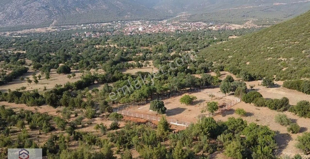 Tavas Pınarlar Satılık Bağ & Bahçe TAVAS PINARLAR MAHALLESİNDE 2000 M2 TARLAMIZ SATILIKTIR.