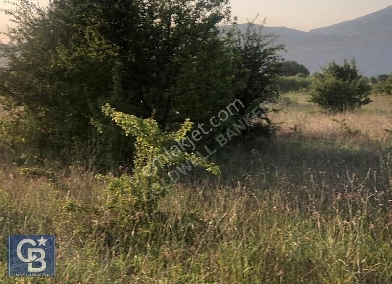 Ula Portakallık Köy Yerleşim Alanı İçinde 2 Parsel Satılık - Görsel 4