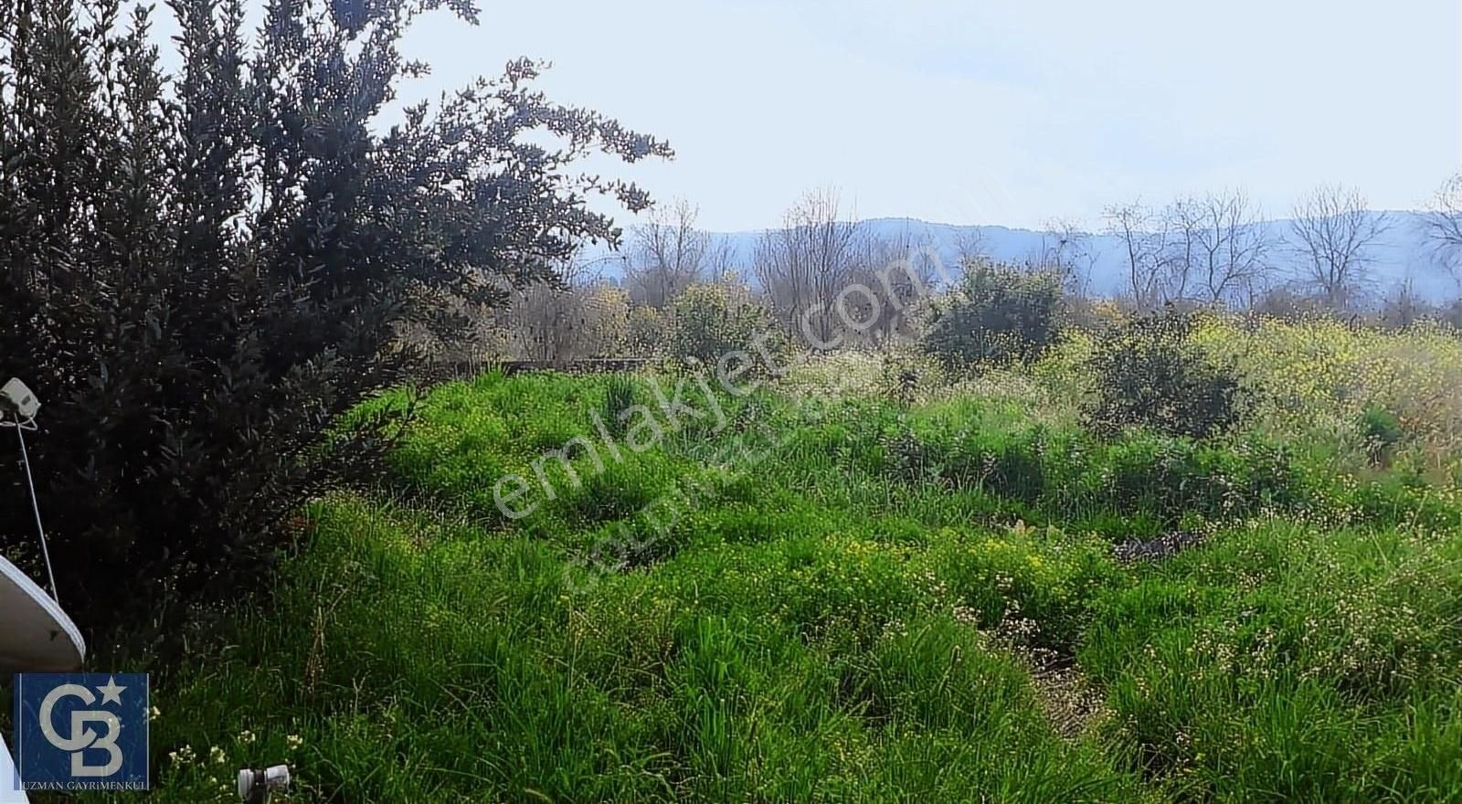 Akçapınarda Satılık 5.310.22 M2 Tarla Ve Müştemelatlı Ev - Görsel 3