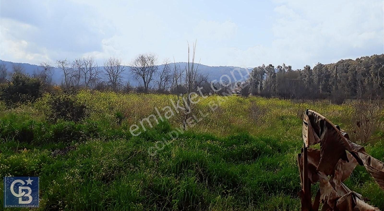 Akçapınarda Satılık 5.310.22 M2 Tarla Ve Müştemelatlı Ev - Görsel 15