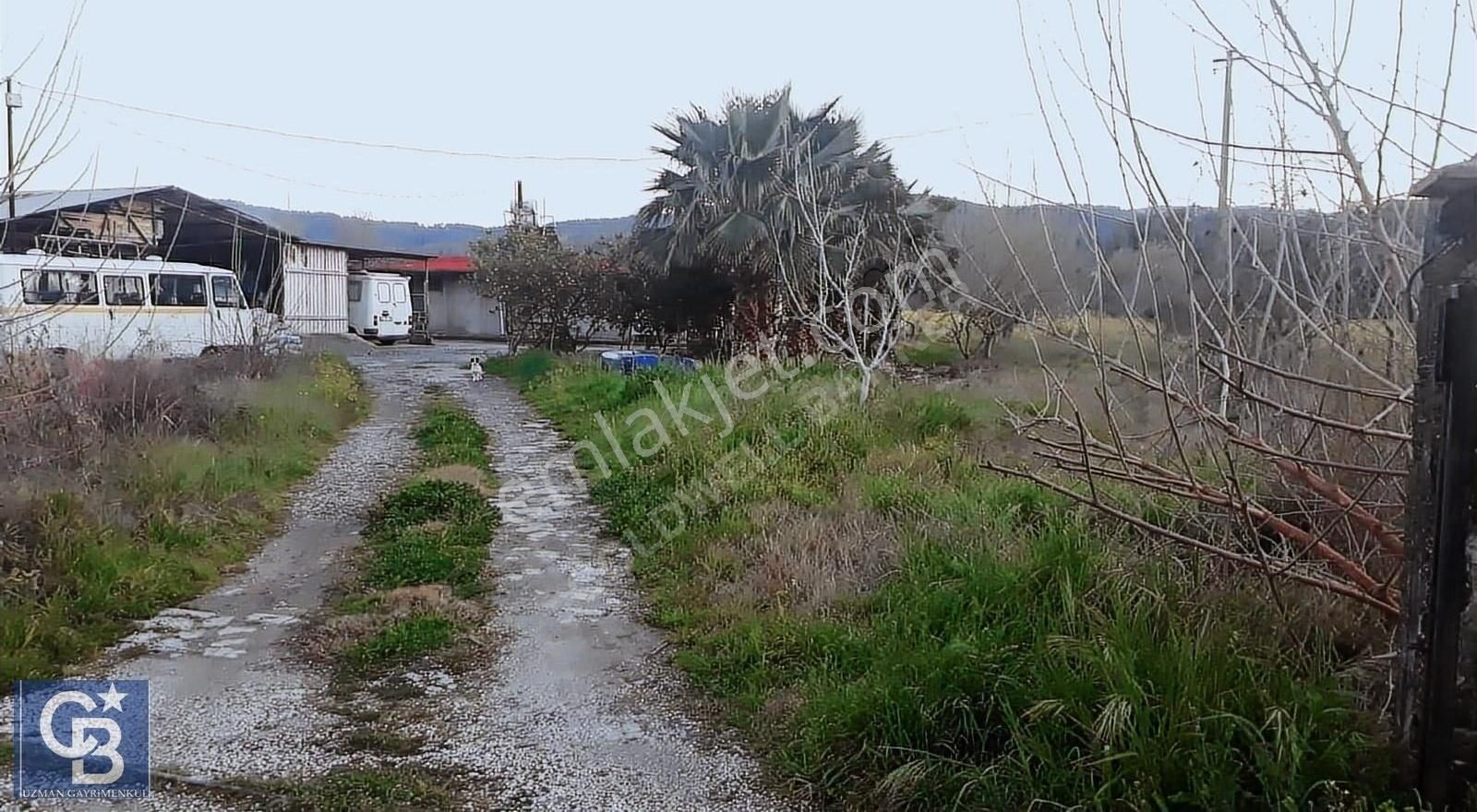 Akçapınarda Satılık 5.310.22 M2 Tarla Ve Müştemelatlı Ev - Görsel 10