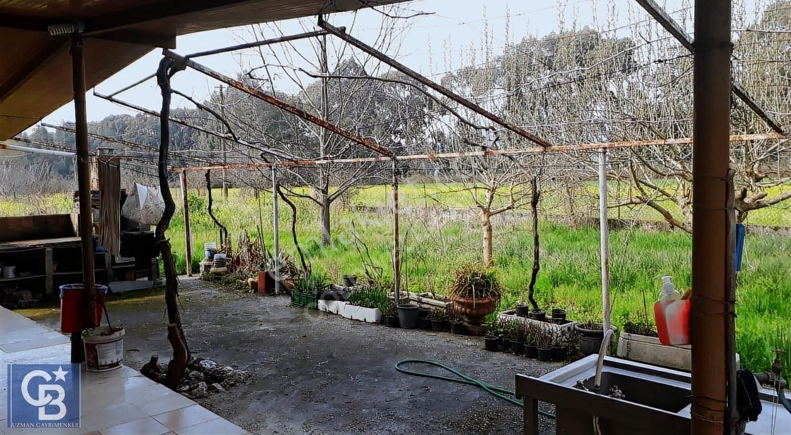 Akçapınarda Satılık 5.310.22 M2 Tarla Ve Müştemelatlı Ev - Görsel 4