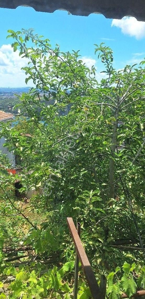 Sarıyer Kocataş'ta Kiralık Müstakil Girişli Daire - Görsel 26