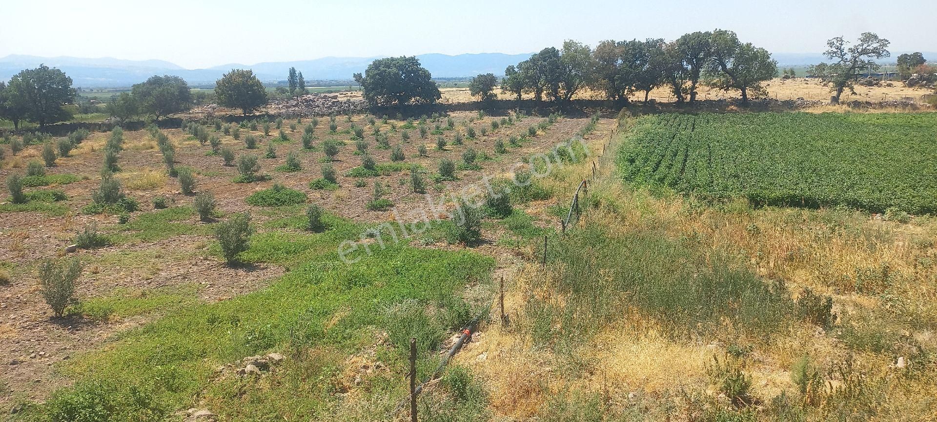 Bergama Göçbeyli Satılık Tarla Satılık müstakiltapu 