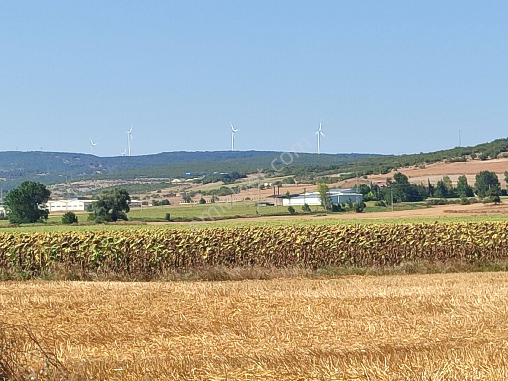 Vize Evrenli Köyü Satılık Tarla Kırklareli Vize Evrenli De 270 M² Son 2 Adet Yerimiz Kaldı Kelepir!!!