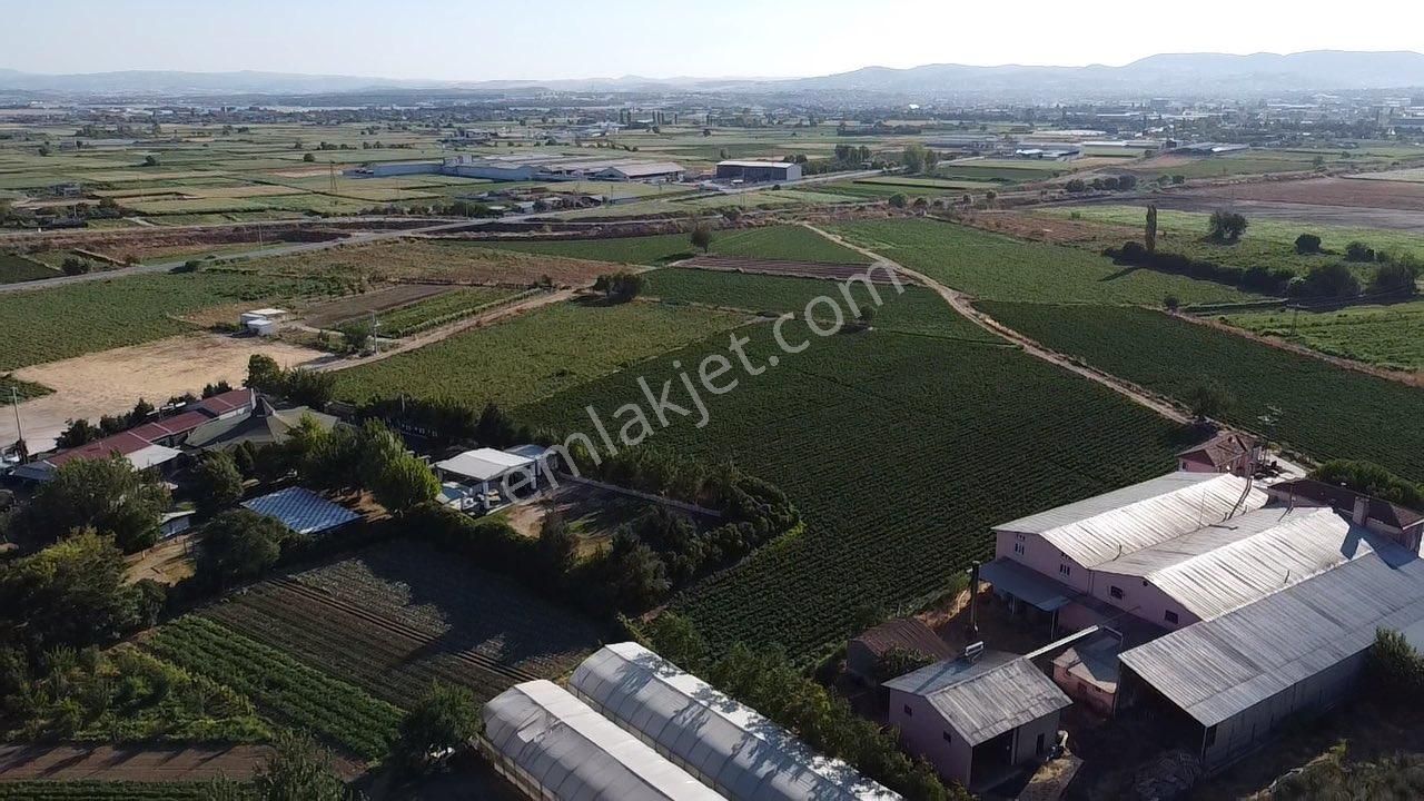 Altıeylül Yakupköy Satılık Tarla HANIMAĞA VE ONUR KIR BAHÇESİ ARASINDA 8400 M2 TARLA