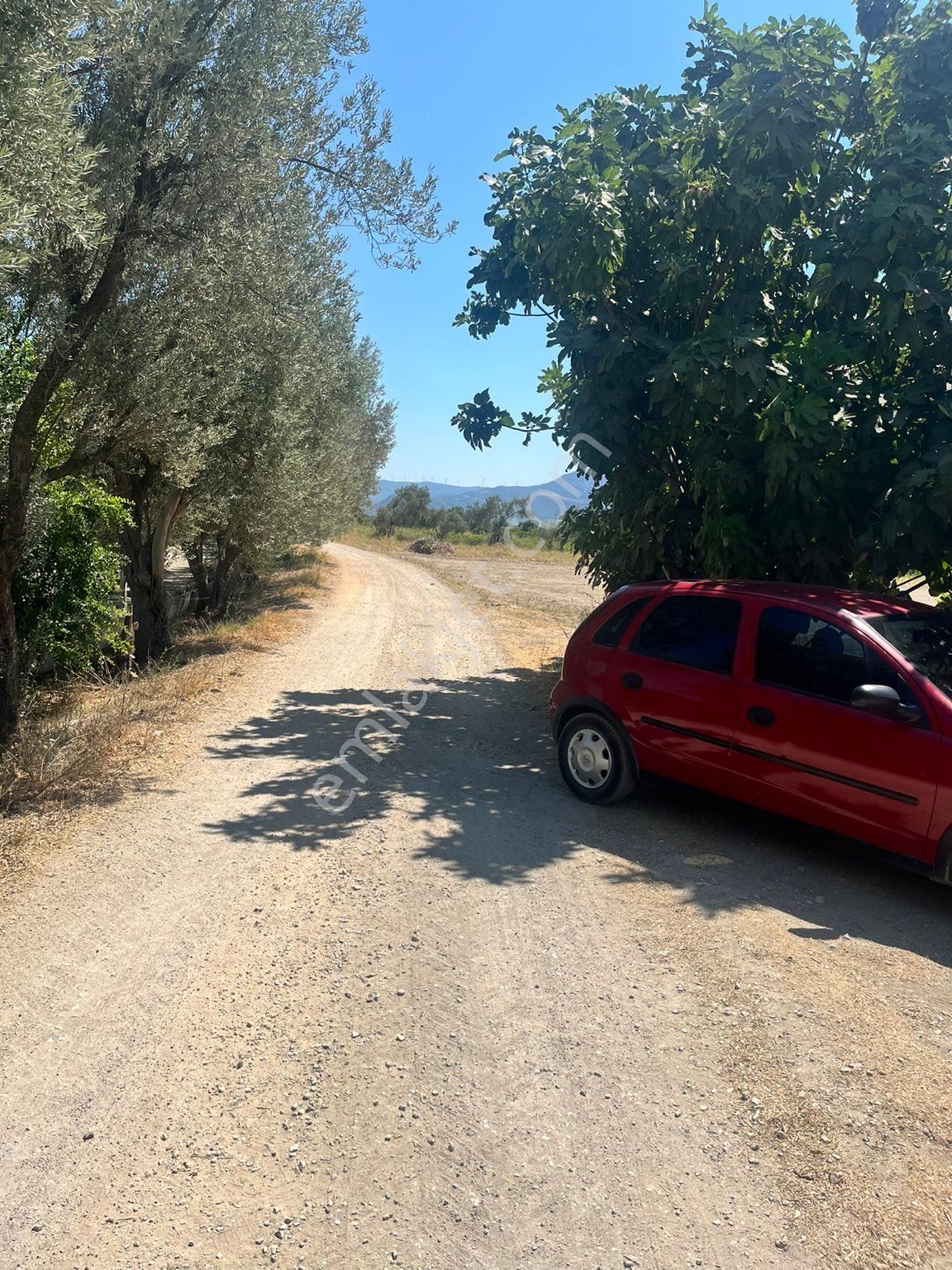 Yunusemre Mareşal Fevzi Çakmak Satılık Bağ & Bahçe Horozköy 8000m2 eşk su sondaj dam takas var genç bağ bilgi için arayın