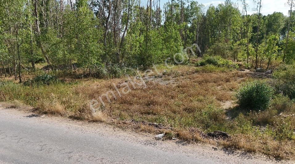 Afyonkarahisar Merkez Anıtkaya Köyü (Cumhuriyet) Satılık Tarla Toprak Yatırımcısı'ndan Anıtkaya'da Yol Kenarı 851m² Tarla