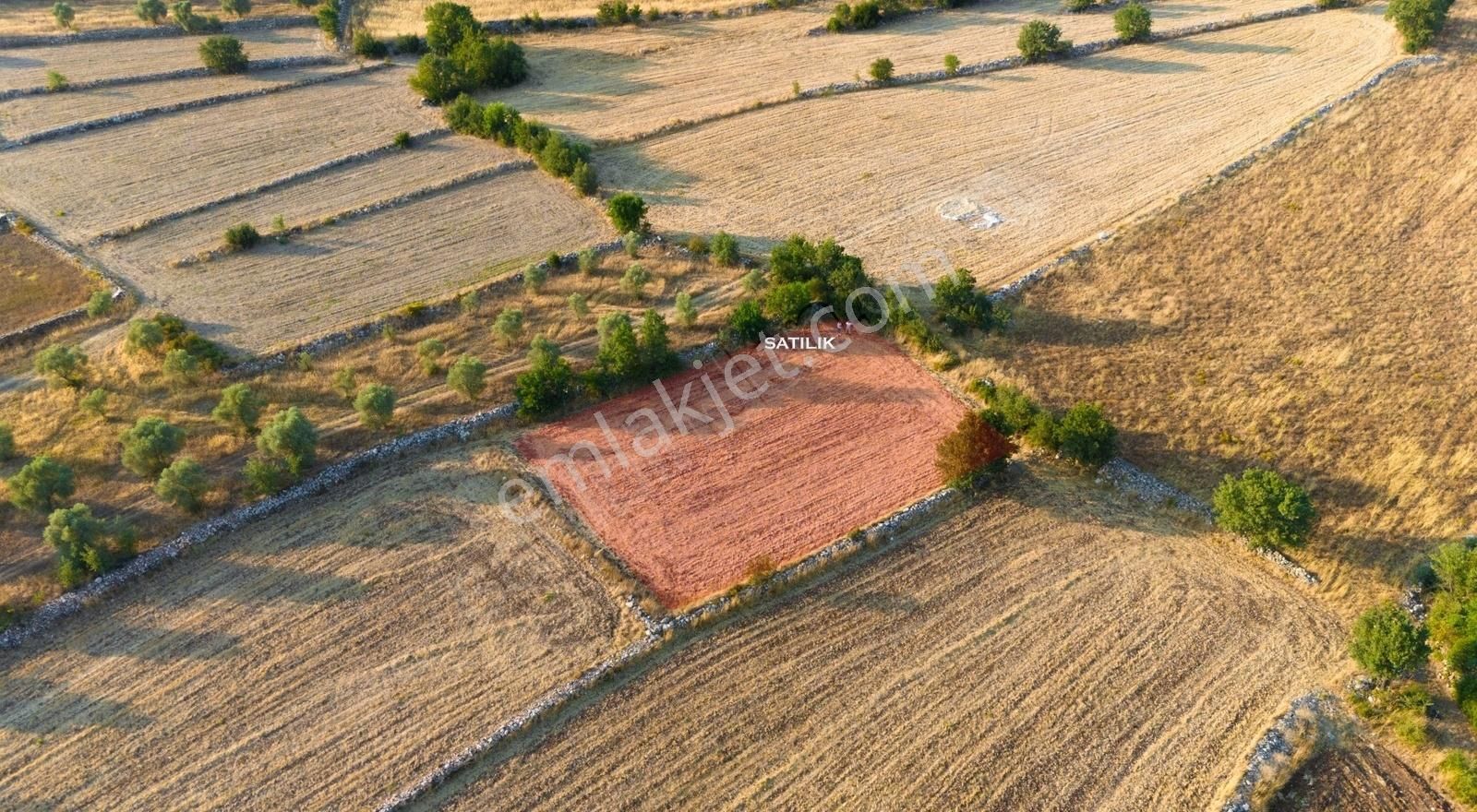 Milas Alaçam Satılık Tarla Satılık 1417 m² Tarla - Milas Alaçam Köyü