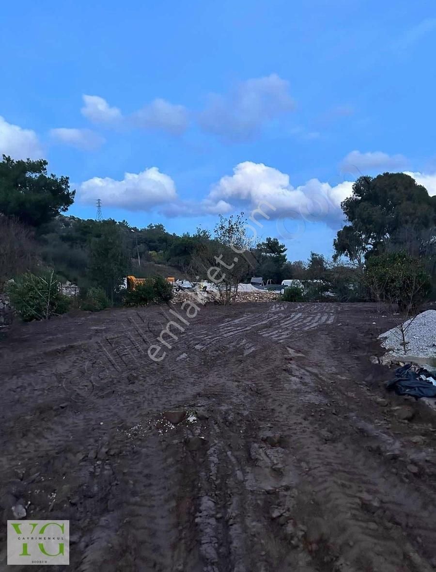 Gölköy'de Yola Yakın Kiralık 1 Dönüm Arazi