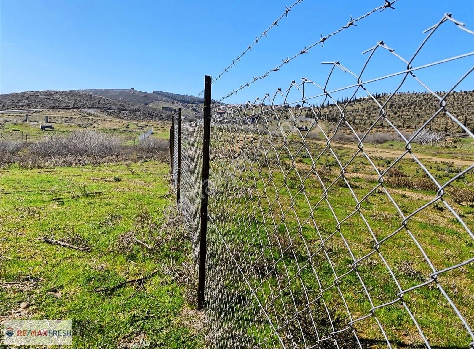 Karaburun Parlak Satılık Zeytinlik Karaburun Parlak Köyü Doğa Manzaralı Tarla