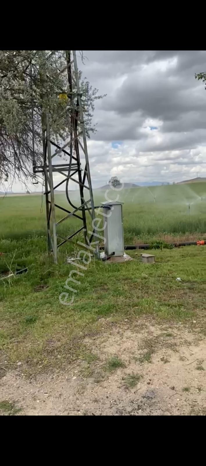 Bor Çukurkuyu Bld. (Türkmen Yurdu) Satılık Tarla Cm Emlak Tan Niğde Bor Çukurkuyuda 113.510 M2 Satılık Evli Tarla