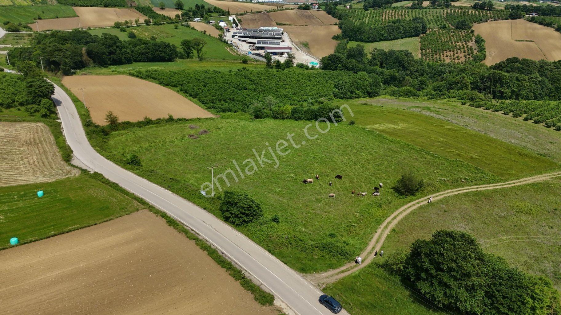 Kandıra Süllü Satılık Tarla Kocaeli Kandıra Süllü De Satılık 11.434m2 Tarla