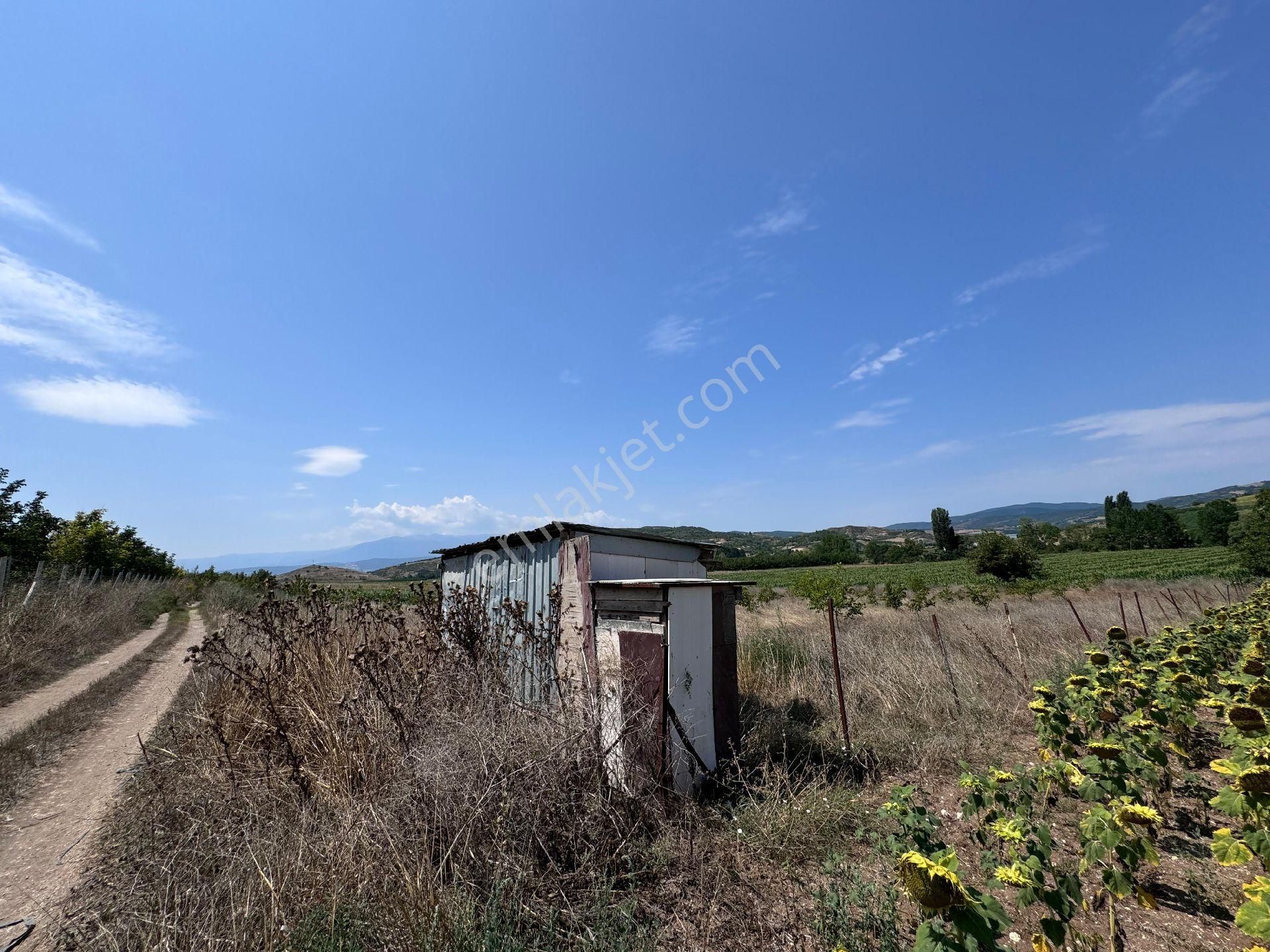 Yenişehir Toprakocak Satılık Tarla Çağlar'dan Toprakocak Da Yolu Olan Kare Şeklinde 3650m2 Ceviz Bahçesi