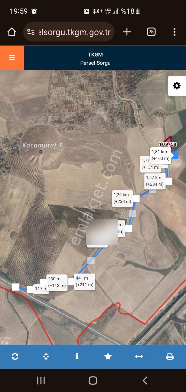 5399 Mt Kare Zeytinlik Uygun Fiyata - Görsel 4