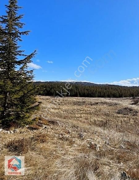 Bolkar'dan 10.068 M² Satılık Kupon Arazi - Görsel 3