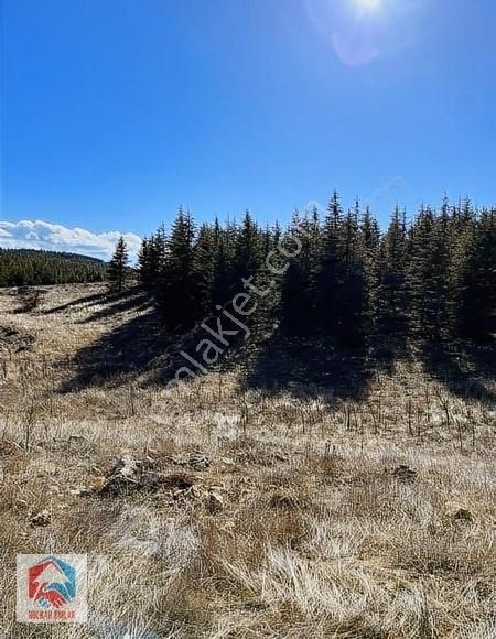 Bolkar'dan 10.068 M² Satılık Kupon Arazi - Görsel 6