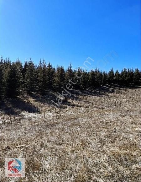 Bolkar'dan 10.068 M² Satılık Kupon Arazi - Görsel 5