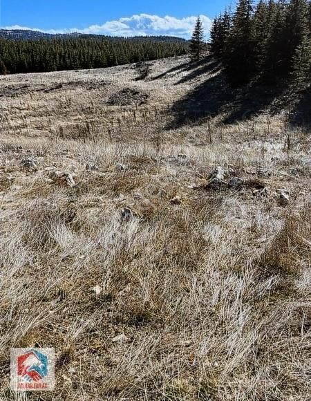 Bolkar'dan 10.068 M² Satılık Kupon Arazi - Görsel 2