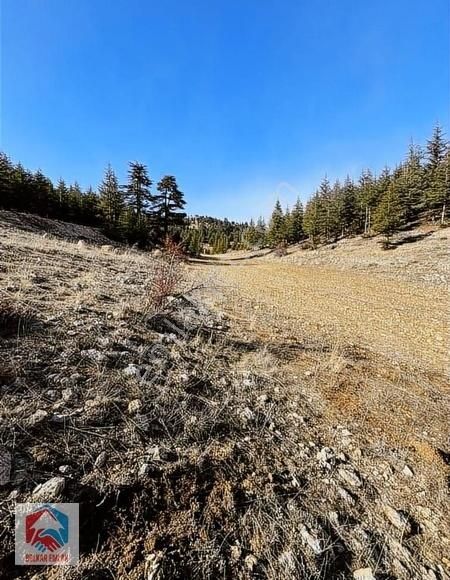Bolkar'dan 12.930 M² Satılık Arazi - Görsel 7