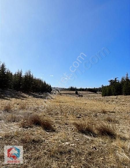 Bolkar'dan 12.930 M² Satılık Arazi - Görsel 10