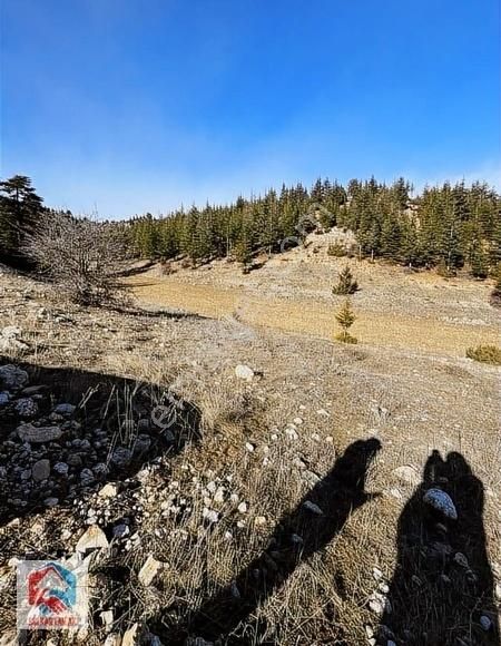 Bolkar'dan 12.930 M² Satılık Arazi - Görsel 3