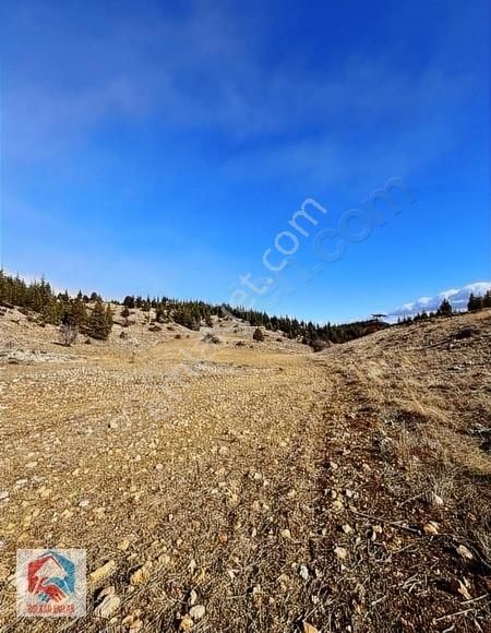 Bolkar'dan 12.930 M² Satılık Arazi - Görsel 9