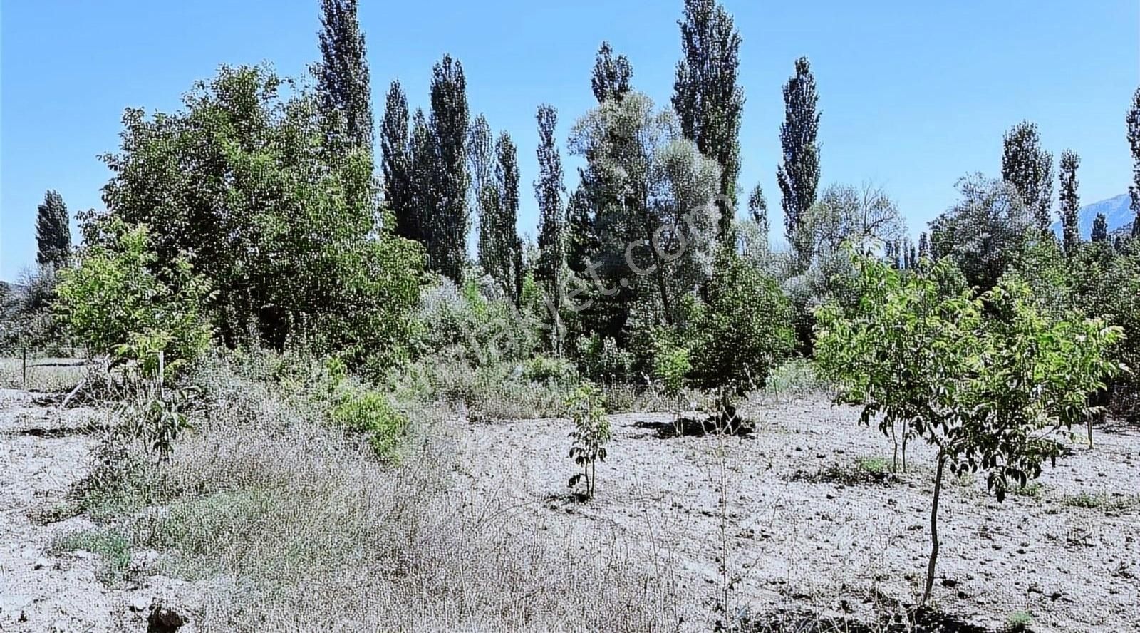 Çameli Gürsu Satılık Konut İmarlı Çameli Gürsu'da imarlı arsa