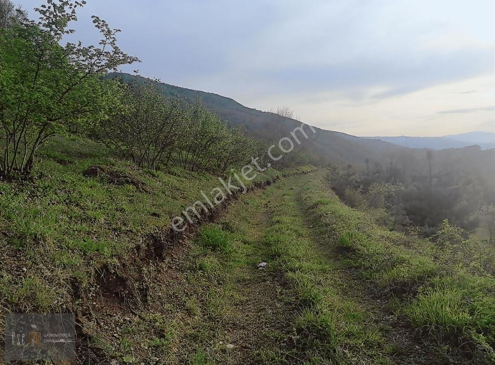 Mudurnu Tavşansuyu Köyü Satılık Bağ & Bahçe Dokurcun satılık 24000 m2 arsa