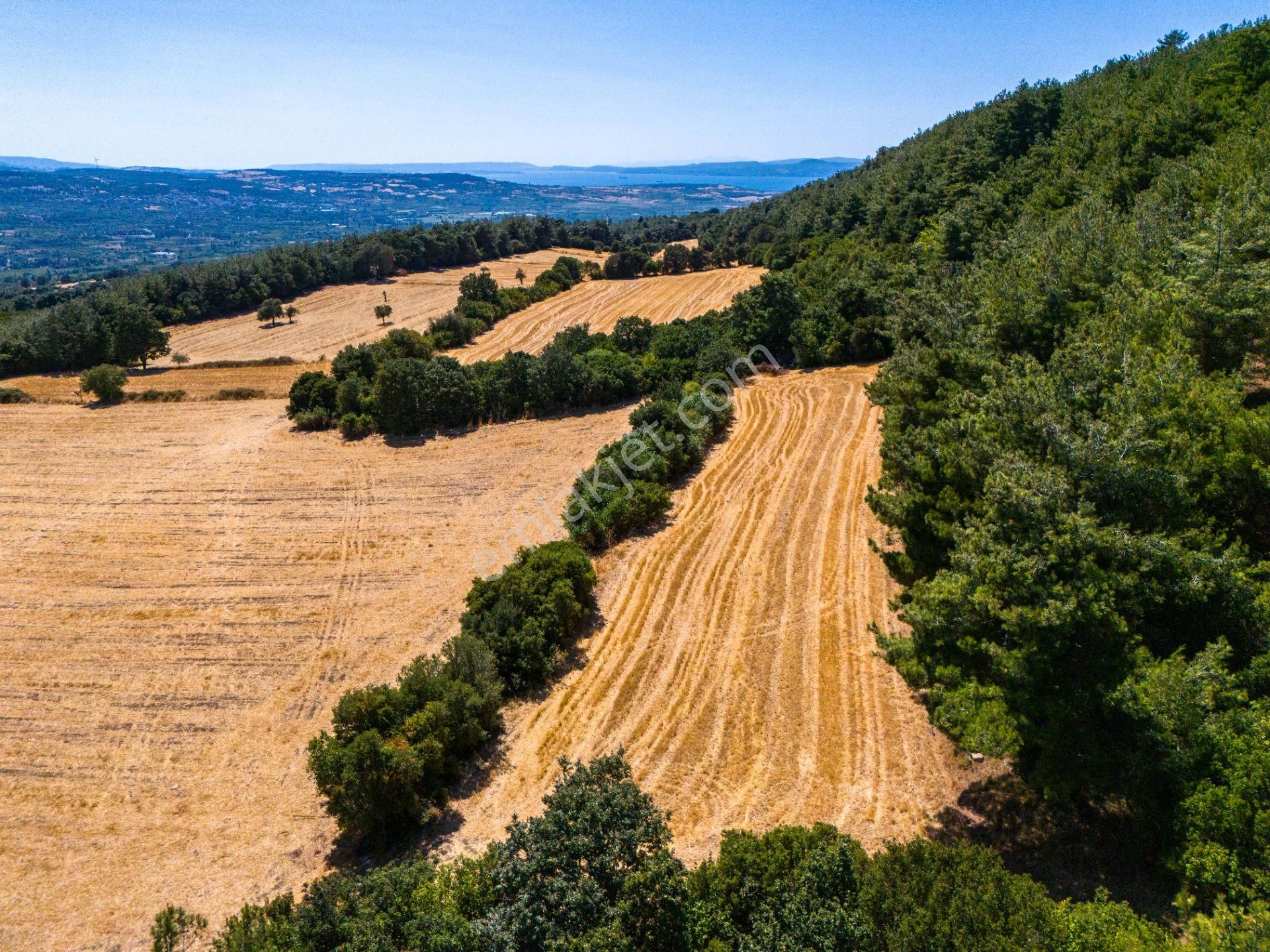 Lapseki Gökköy Köyü Satılık Tarla  ÇANAKKALE LAPSEKİ GÖKKÖYDE SATILIK TARLA