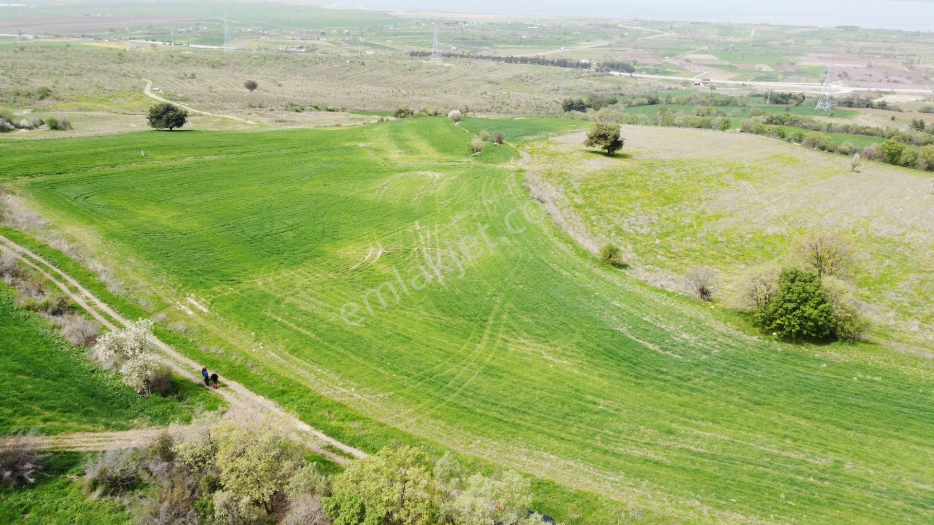 Çanakkale Merkez Musaköy Köyü Satılık Tarla  ÇANAKKALE MUSAKÖYDE PANAROMİK BOĞAZ VE KÖPRÜ MANZARALI ARAZİ