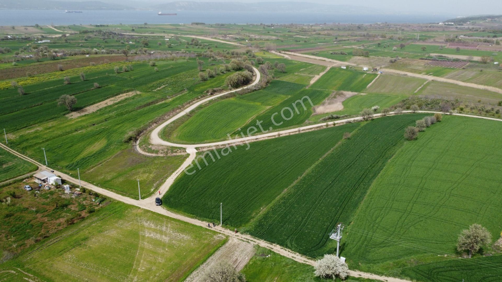 Çanakkale Merkez Musaköy Köyü Satılık Tarla  BOĞAZA NAZIR KUPON ARAZİ YOL SU ELEKTİRİK MEVCUT MUSAKÖY