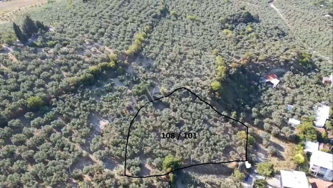 Mudanya Aydınpınar'da İmarlı Arsa - Görsel 2