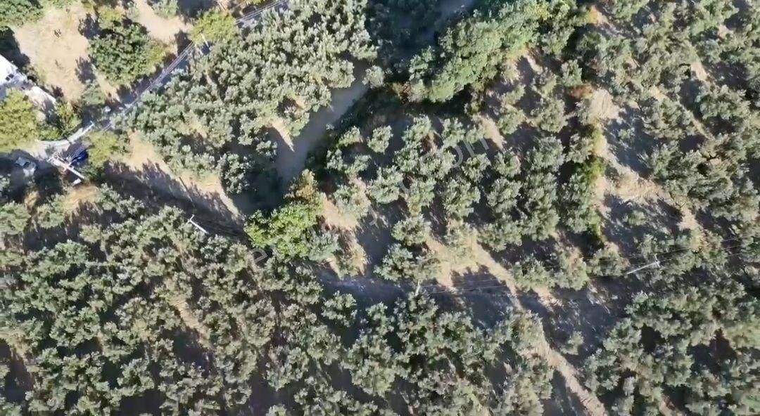 Mudanya Aydınpınar'da İmarlı Arsa - Görsel 4