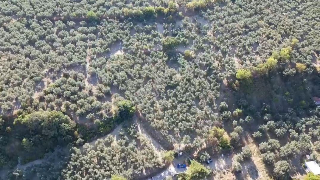 Mudanya Aydınpınar'da İmarlı Arsa - Görsel 8