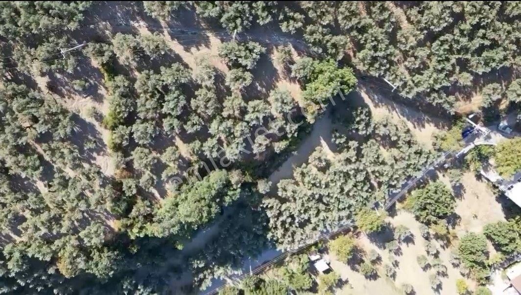 Mudanya Aydınpınar'da İmarlı Arsa - Görsel 3