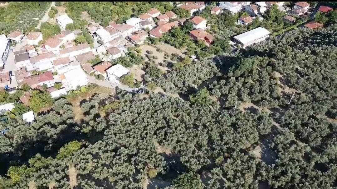 Mudanya Aydınpınar'da İmarlı Arsa - Görsel 6