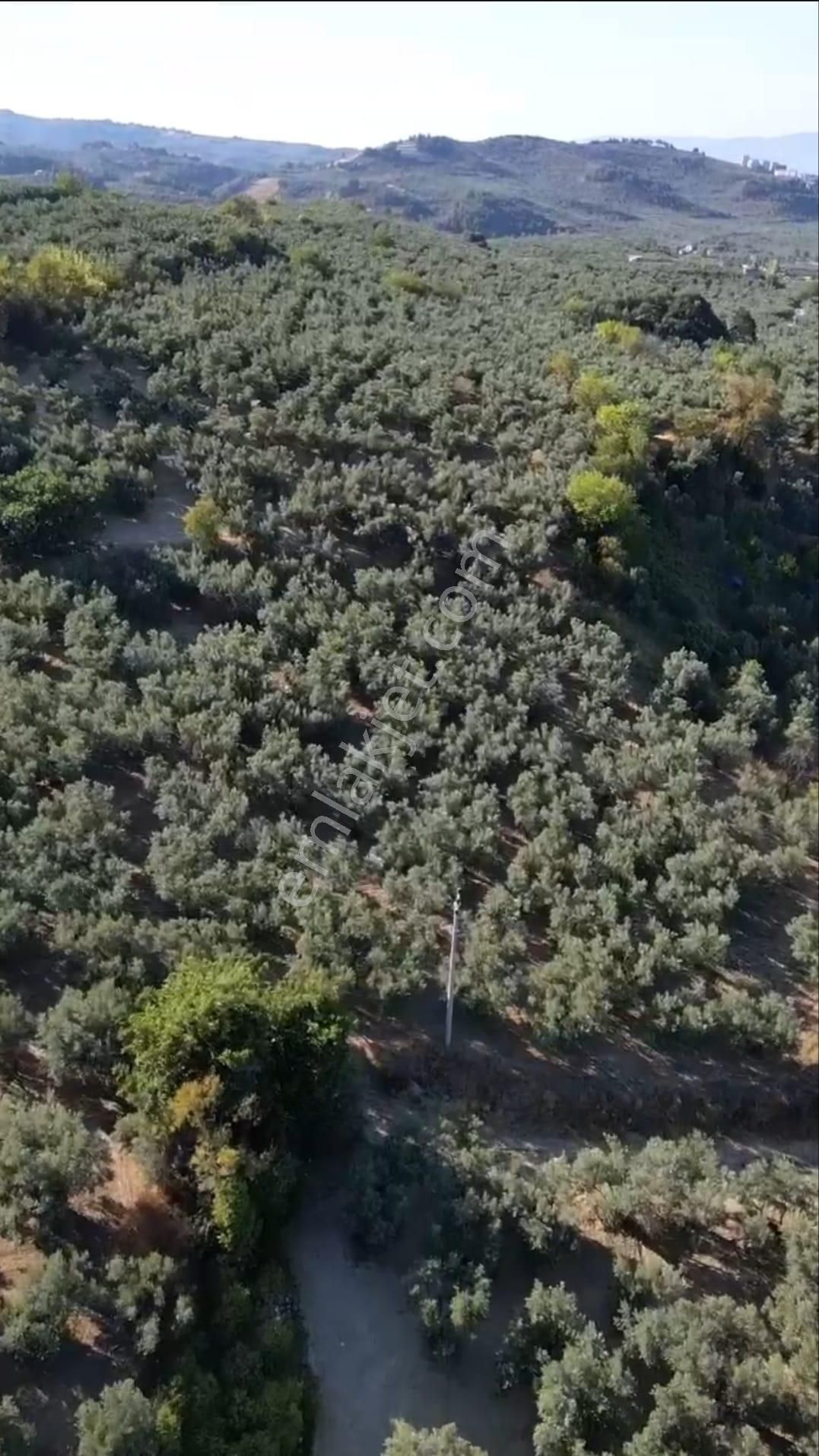 Mudanya Aydınpınar'da İmarlı Arsa - Görsel 12