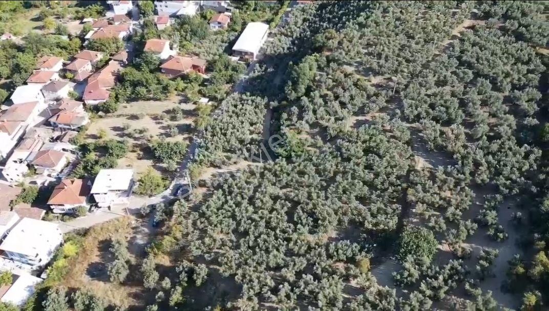 Mudanya Aydınpınar'da İmarlı Arsa - Görsel 5