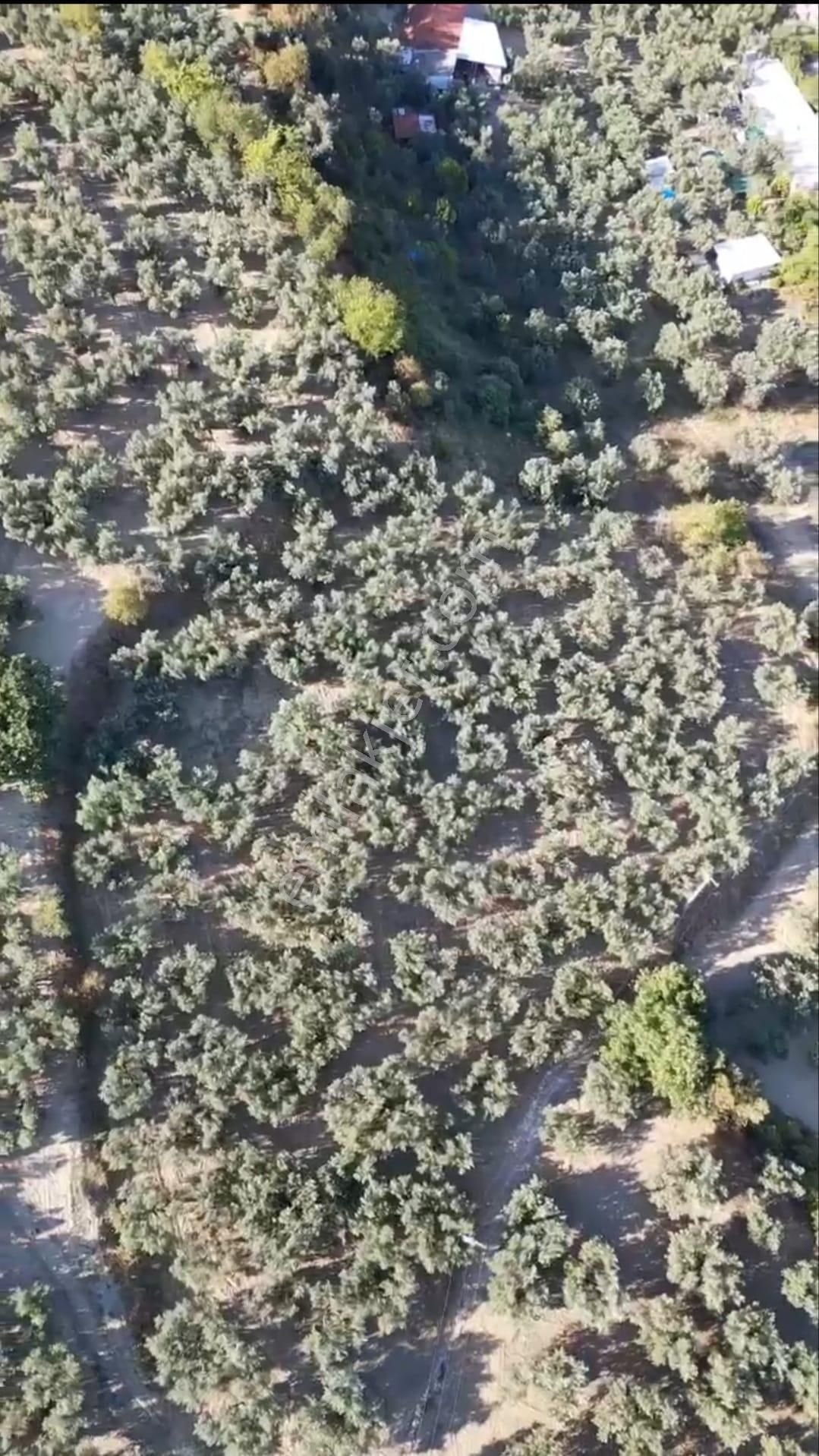 Mudanya Aydınpınar'da İmarlı Arsa - Görsel 13