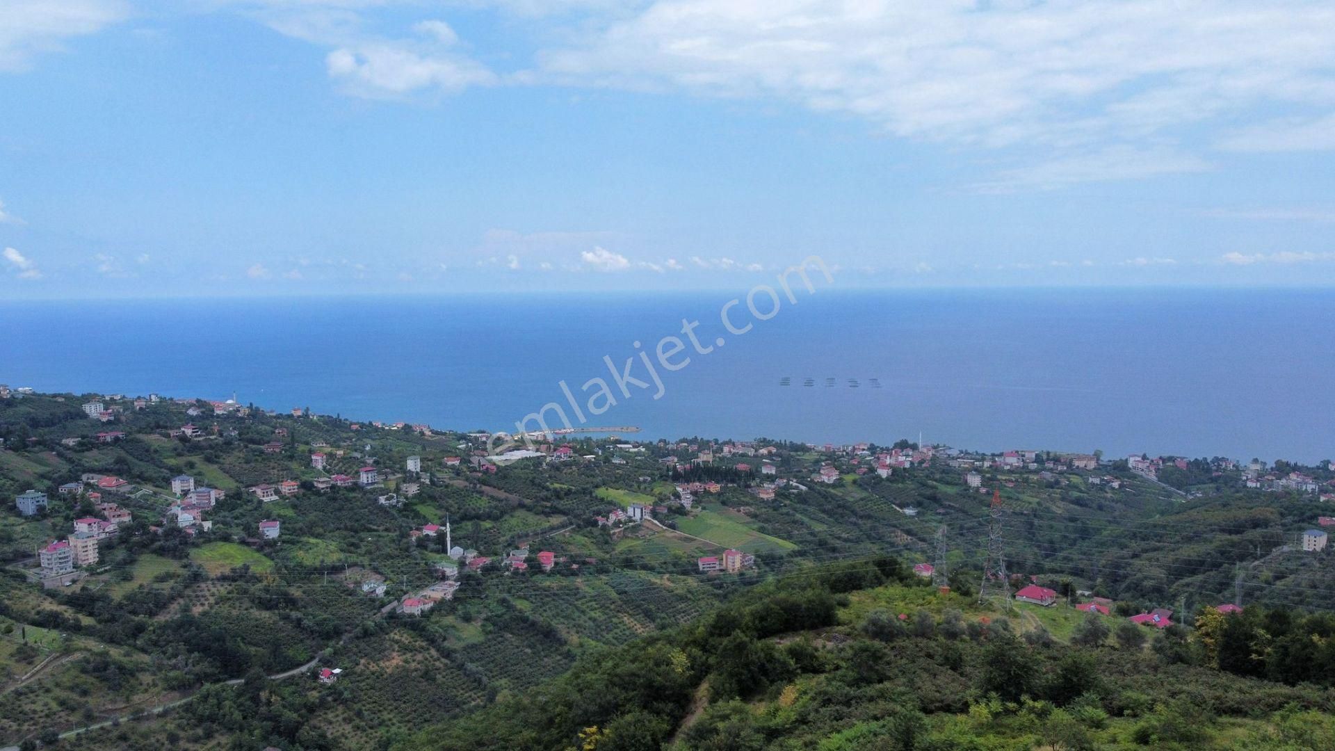 Akçaabat Darıca Satılık Arazi AKÇAABATTA DENİZ MANZARALI SATILIK FIRSAT ARSA 3100 M2