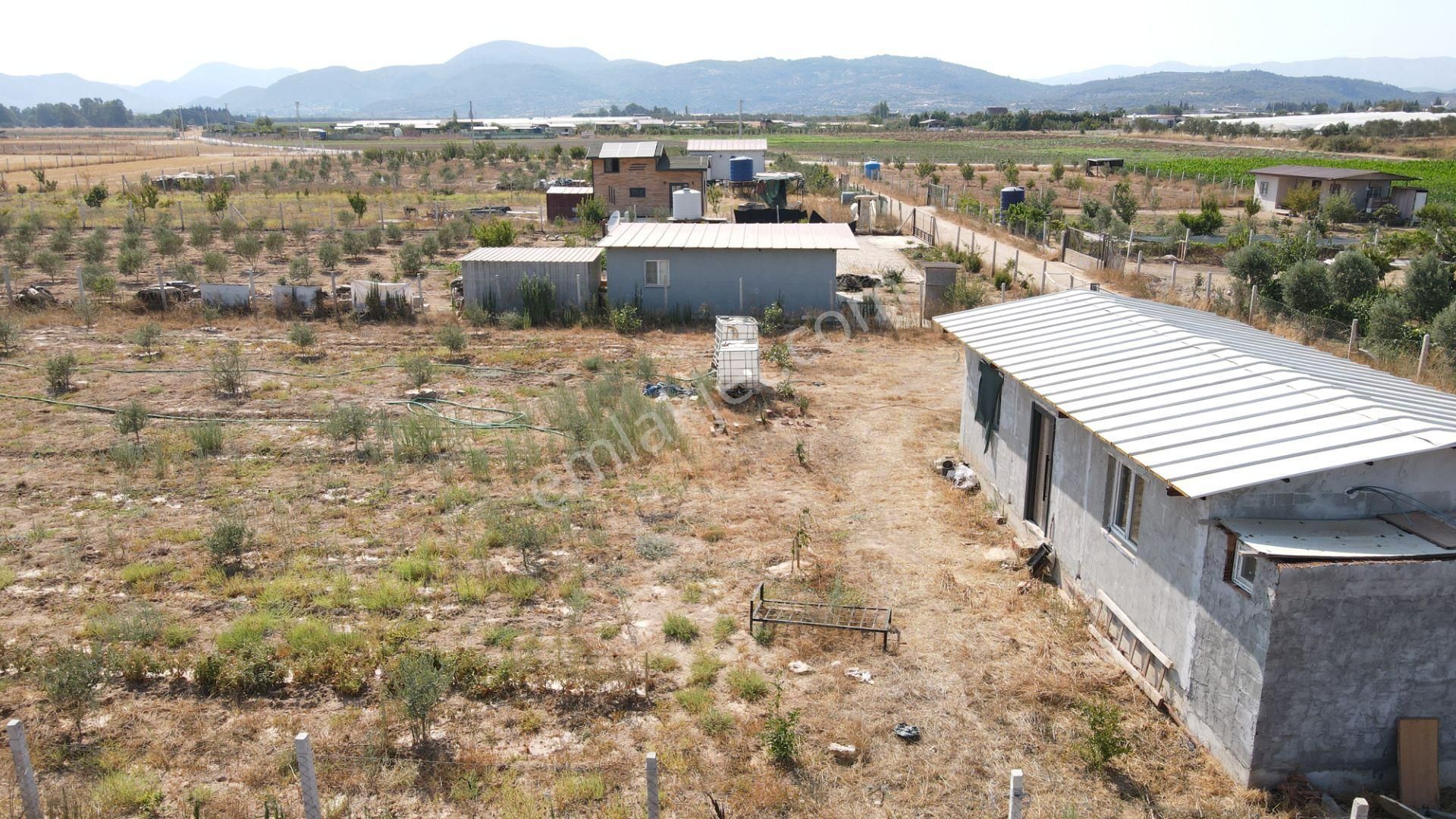 Menderes Develi'de Satılık 2.536 M2 Bahçe Elektrik Su 50 M2 Ev - Görsel 25